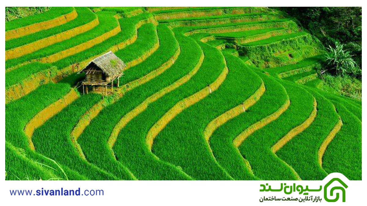 انواع سطح بندی در نقشه برداری 1 1 سطح بندی زمین