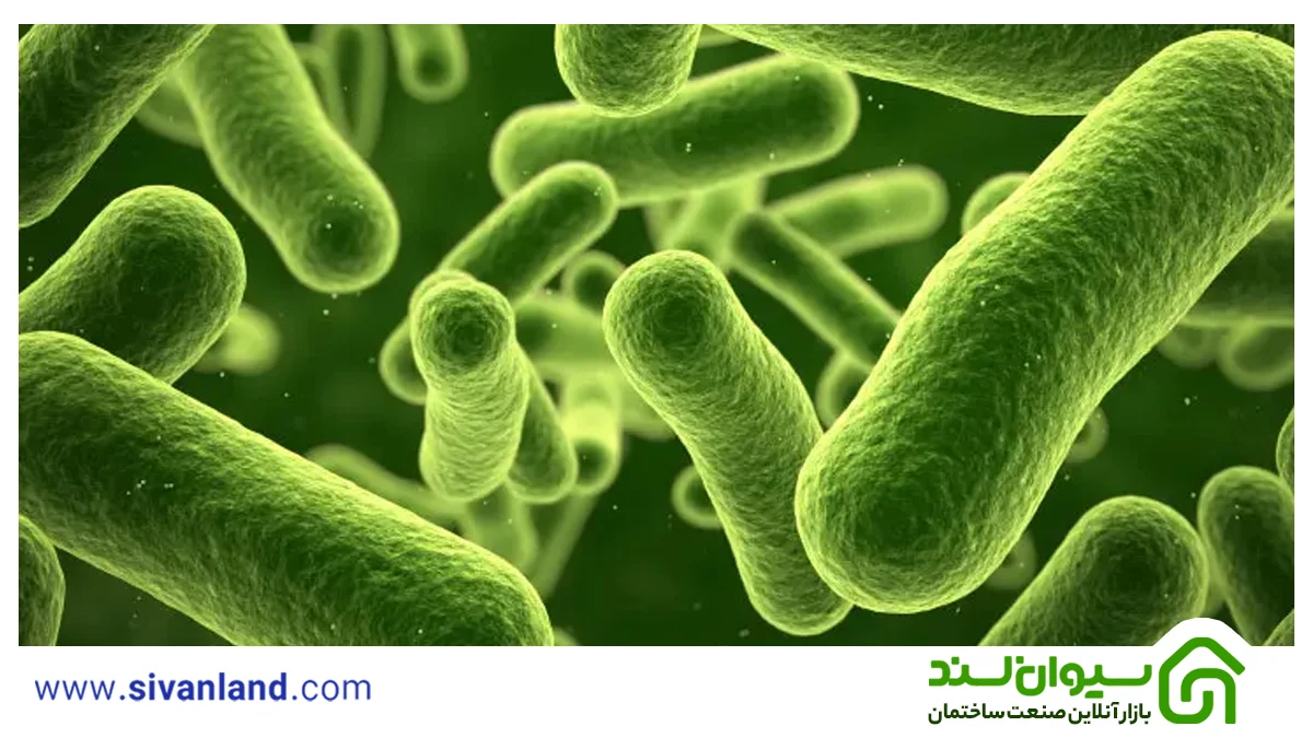 دستگاه تصفیه آب چگونه کار می کند؟ | نحوه کار دستگاه تصفیه آب 10 10 تصفیه آب به روش بیولوژیکی